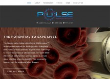 Pulse Therapeutics