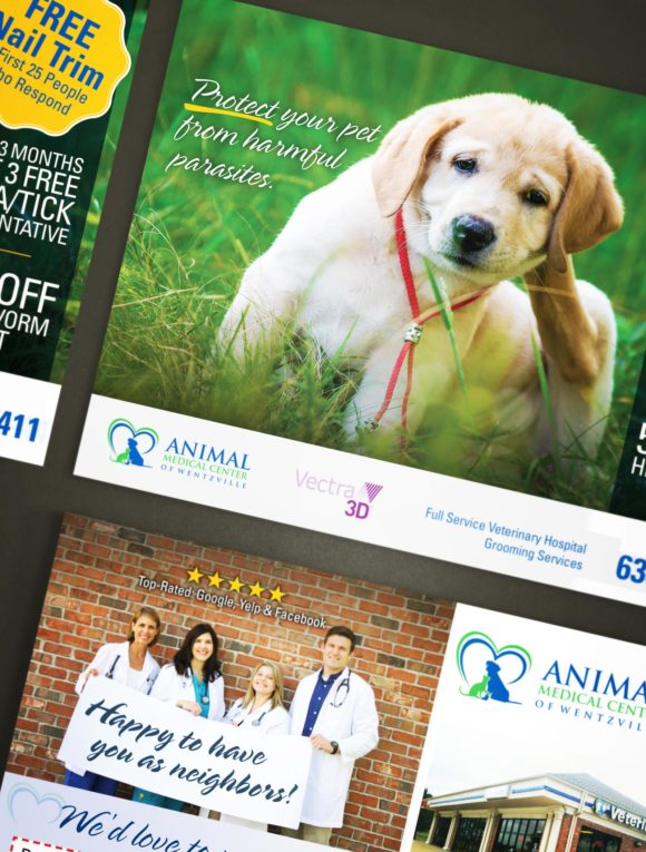Animal Medical Center Postcard