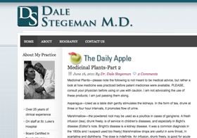 Dal Stegeman Website